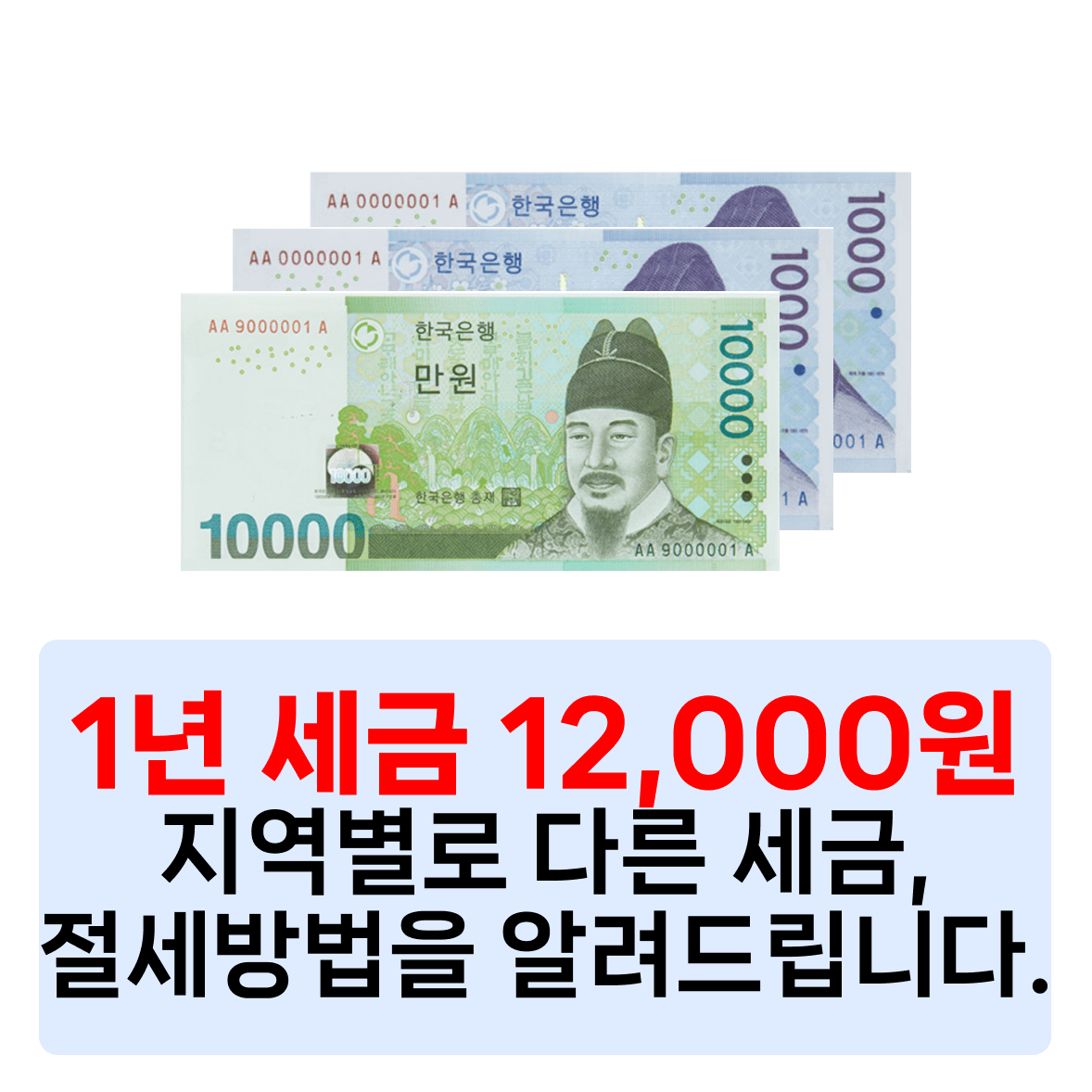 1년 세금 12,000원 원본 안내 이미지